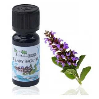 Clary Sage Essential Oil_44527