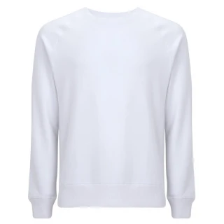 Sweatshirt raglan unisex Salvage Recycled in organic cotton_58825