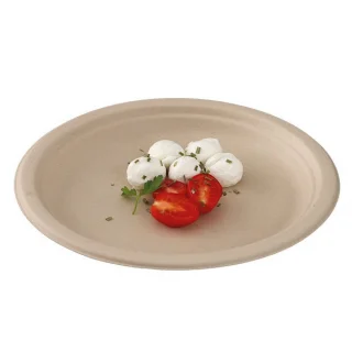 Compostable plates_63227