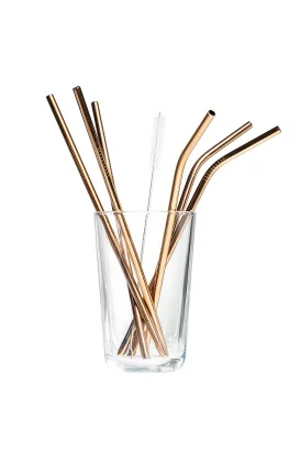 Steel straws set of 6 pieces_71367