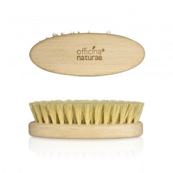 Laundry brush made of wood and vegetable fibers