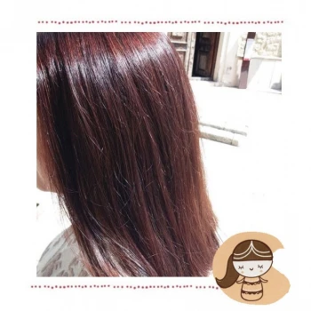 Vegetal and organic Hair dye - chestnut color_57950