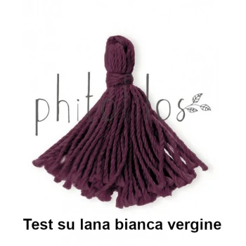 Aubergine natural hair dye Phitofilos_56176