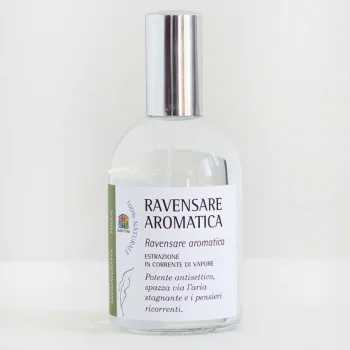 Aromatherapy for the Soul - Aromatic Ravensation_61660