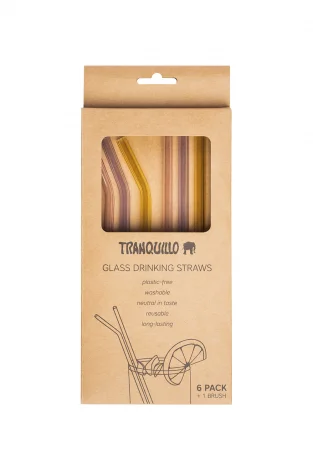 Borosilicate glass straws set of 6 pieces_71360