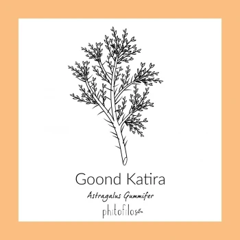 Goond Katira 100% vegetal hair treatment_74482
