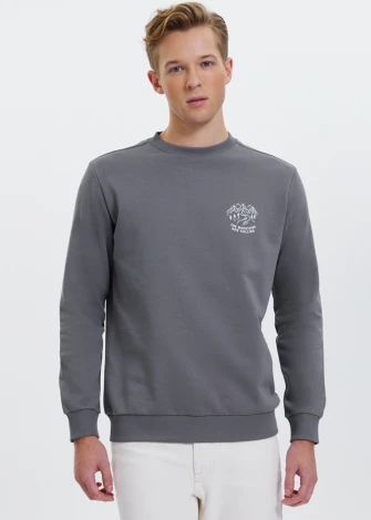 Men's Call Grey sweatshirt in pure organic cotton_107443