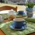 Placemat set Fruits in organic cotton - Fruits Green
