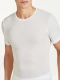 Wonder Wool t-shirt in pure anti-shrink merino wool - Natural white