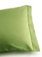 Single Pillowcase 55x85 cm Mymami in organic cotton - Leaf