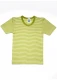 Short-sleeved t-shirt for children in organic wool and silk - Green Stripes