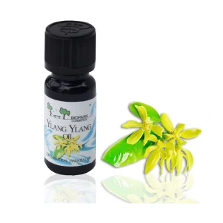 Ylang Ylang Essential Oil_44952