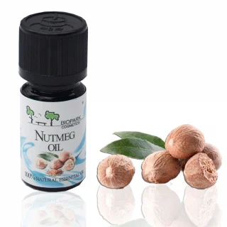 Nutmeg Essential Oil_46482