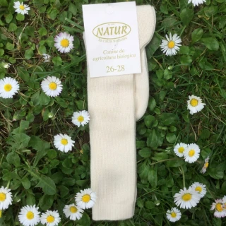 Knee-high thin socks in organic cotton_43187