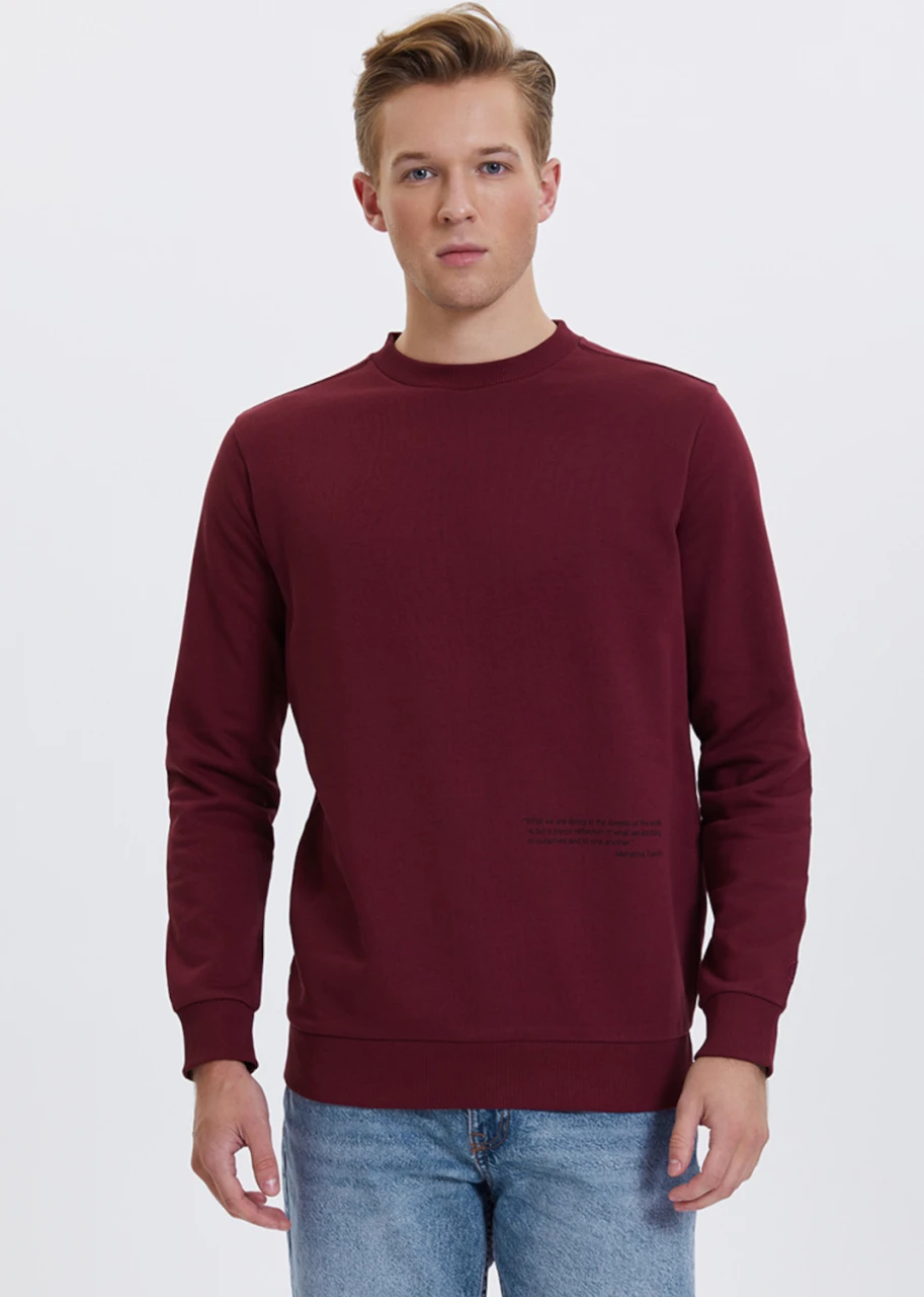 Men's Plant Cabernet sweatshirt in pure organic cotton